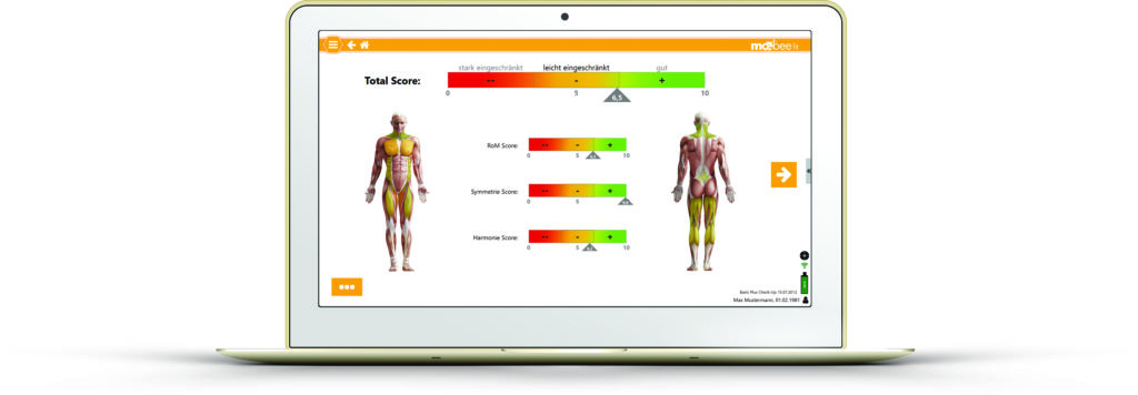 mobeefit, Bildschirm, Analyse, Diagnostik, Beweglichkeit, Beweglichkeitsanalyse