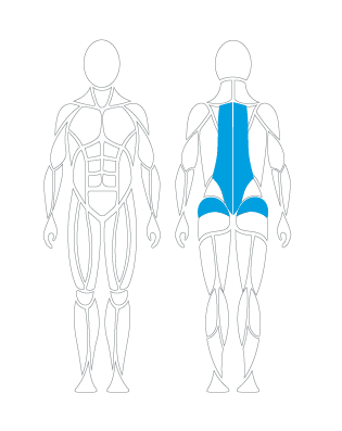 G110 LUMBAR THORACIC EXTENSION, Wirbelsäule David Health Solutions, Domitner GmbH, therapiegerät, Physiotherapie, Ärztezentren, Rückengesundheit