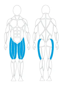 Knieübungen, Domitner GmbH, David Health, David Krafttraining