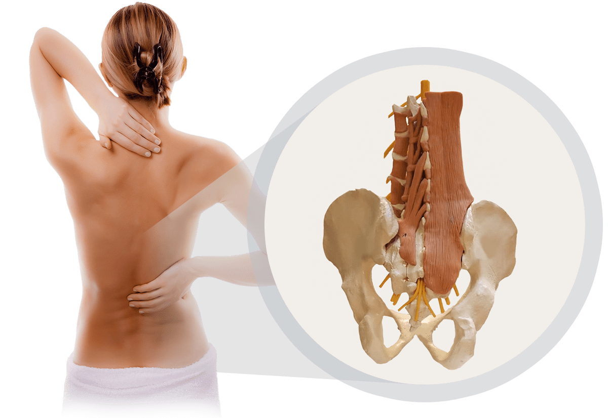 Rückengesundheit, Diagnostik, Domitner GmbH,