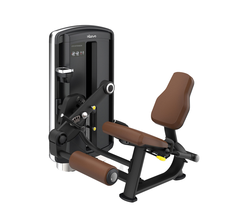 Intenza Kraftgeräte, Selectorized, Dezign Line leg extension